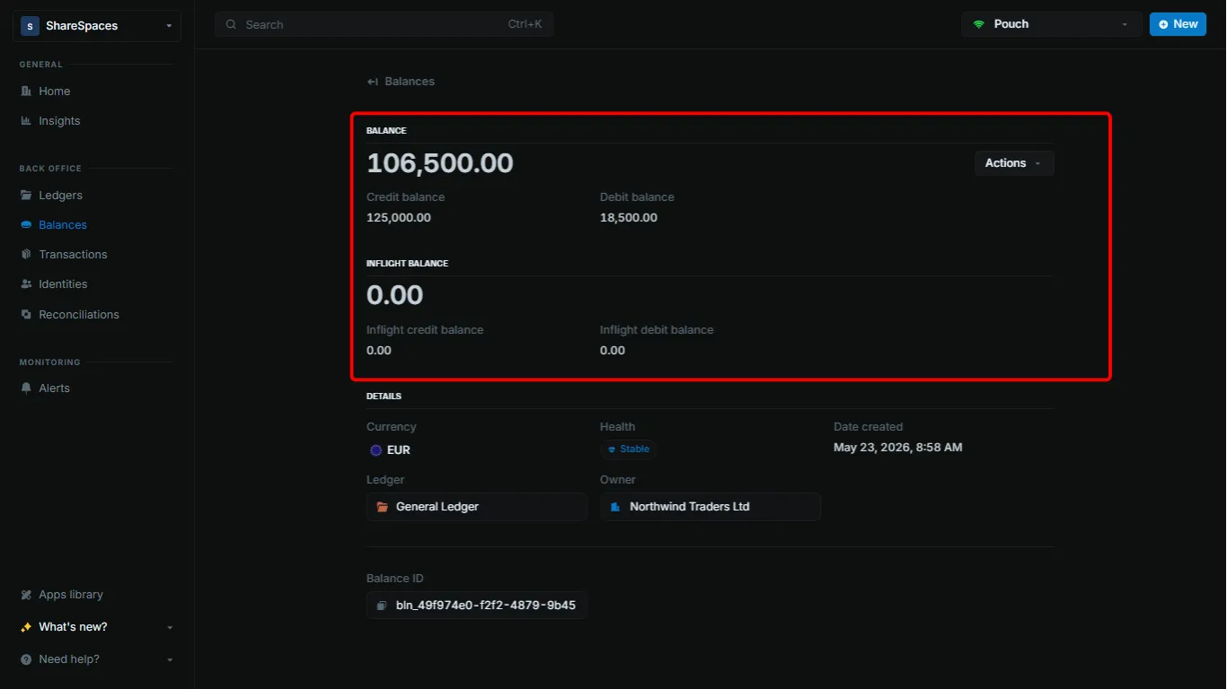 Balance details page showing the summary