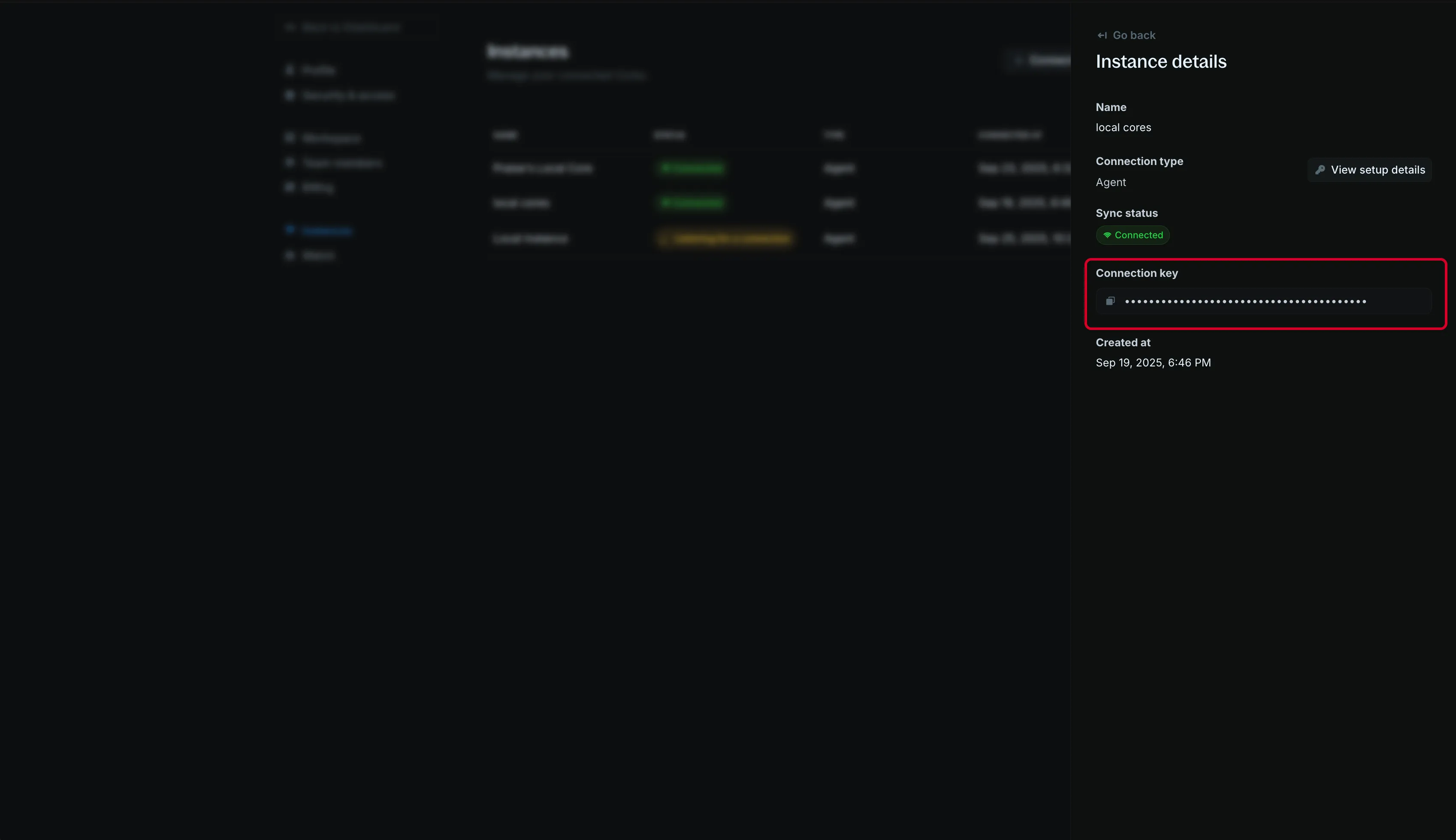 Instance details with the connection key