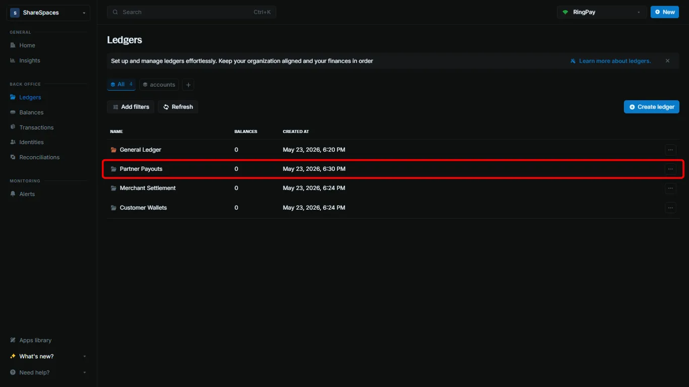 Ledgers table showing the new ledger