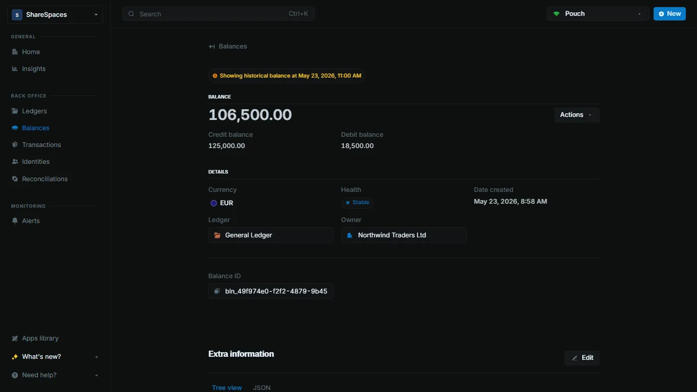 Balance details showing amounts at the selected time