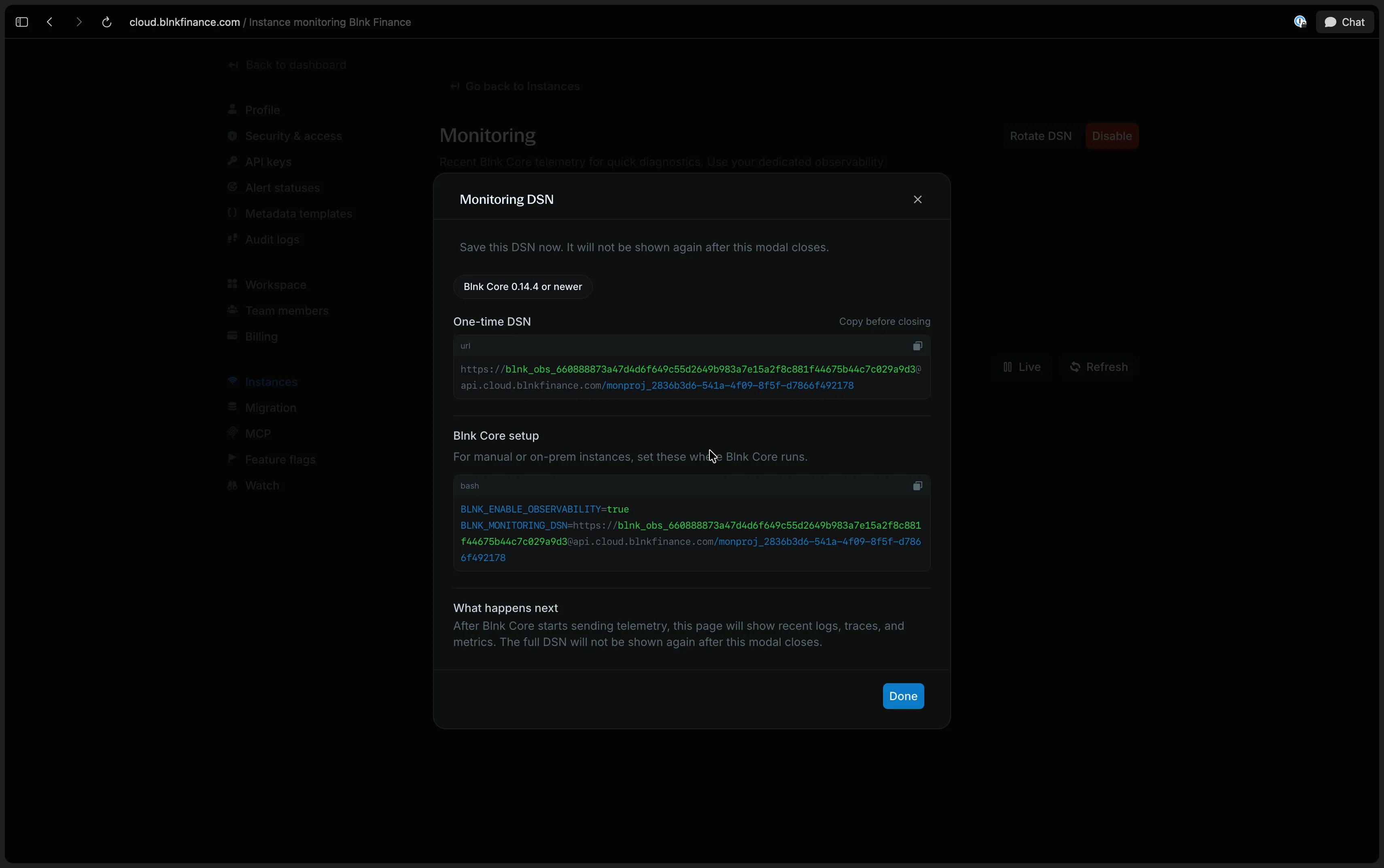 Blnk Cloud instance settings with monitoring enabled and the Blnk Cloud DSN field visible