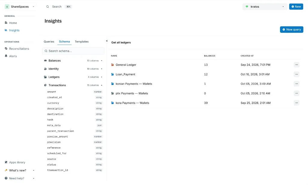 Insights Schema tab with tables, columns, and a preview of ledger rows