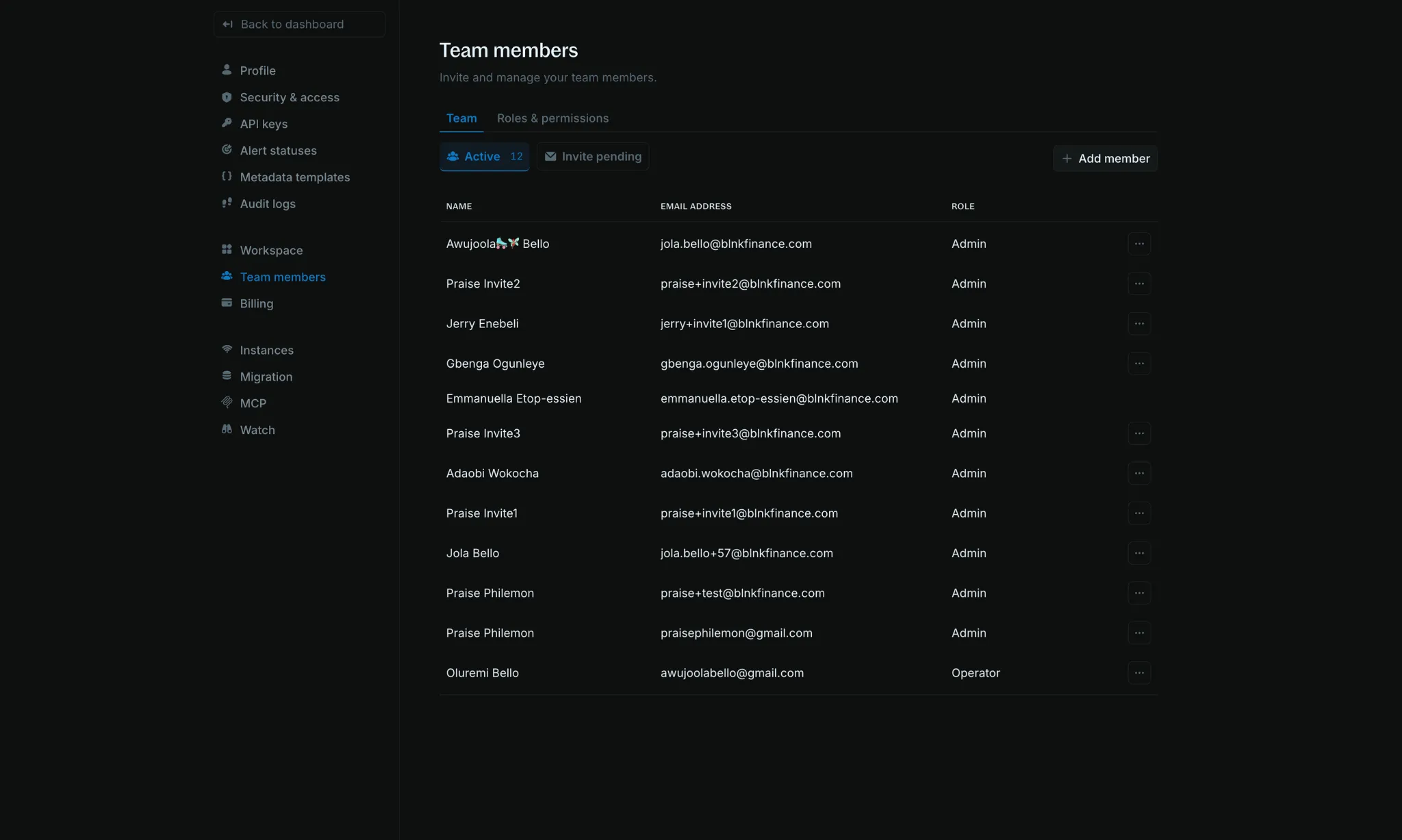Team members page showing active teammates and the Add member button